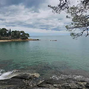 Grifeu Llanca